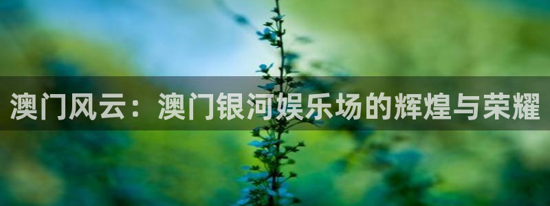 22top银河官网入口：澳门风云：澳门银河娱乐场的辉煌与荣耀