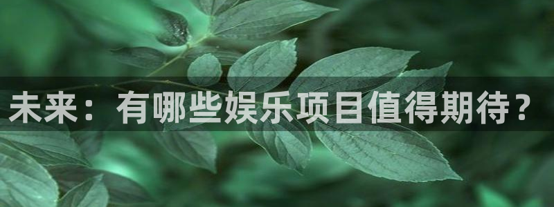 银河官网平台：未来：有哪些娱乐项目值得期待？