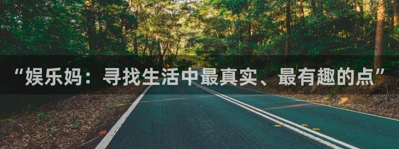 银河官网：“娱乐妈：寻找生活中最真实、最有趣的点”