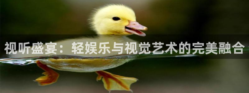 新银河官网：视听盛宴：轻娱乐与视觉艺术的完美融合